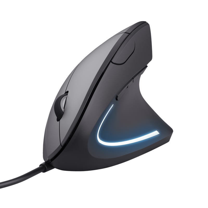 ERGONOMIC MOUSE
