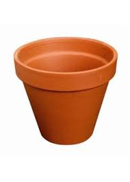 TERRACOTTA  DUCCO BRUN/MATE EAU Pot 1 Kg