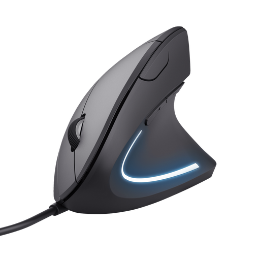 ERGONOMIC MOUSE